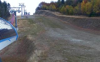 Jaworzyna Krynicka niebieska tra - 25-10-2026 11:52