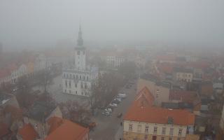 Chełmno Rynek - 17-12-2025 12:29