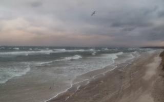 Grzybowo wschód - 30-10-2025 15:19