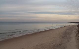 Grzybowo wschód - 01-11-2025 14:10