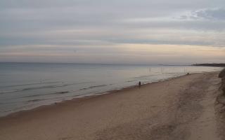 Grzybowo wschód - 01-11-2025 14:17