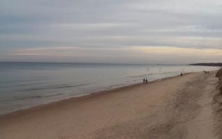 Grzybowo wschód - 01-11-2025 14:25