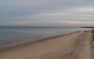 Grzybowo wschód - 01-11-2025 14:32