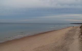 Grzybowo wschód - 01-11-2025 14:47