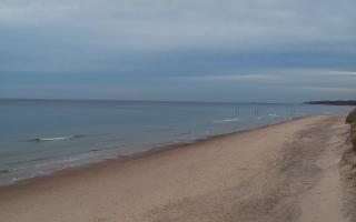 Grzybowo wschód - 01-11-2025 14:55