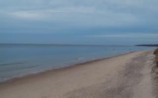 Grzybowo wschód - 01-11-2025 15:03