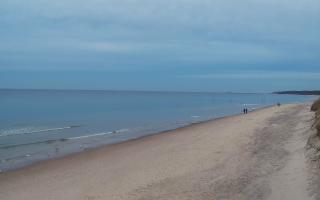 Grzybowo wschód - 01-11-2025 15:10