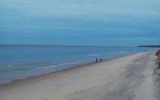 Grzybowo wschód - 01-11-2025 15:18