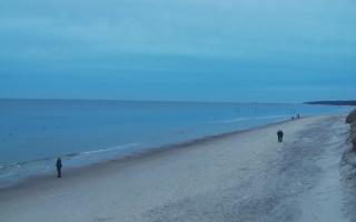 Grzybowo wschód - 01-11-2025 15:25