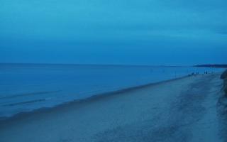 Grzybowo wschód - 01-11-2025 15:56