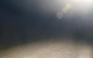 Grzybowo wschód - 01-11-2025 16:18