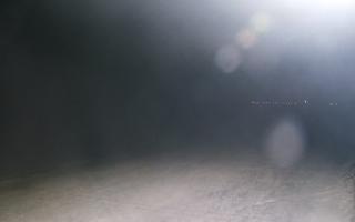 Grzybowo wschód - 01-11-2025 18:20