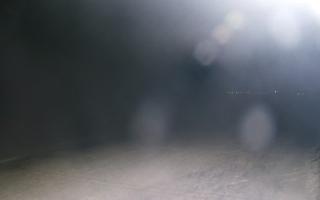 Grzybowo wschód - 01-11-2025 18:50