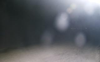 Grzybowo wschód - 01-11-2025 18:57