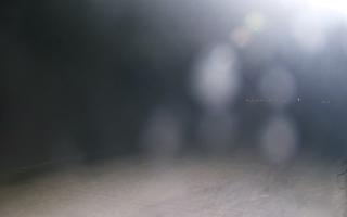 Grzybowo wschód - 01-11-2025 19:20