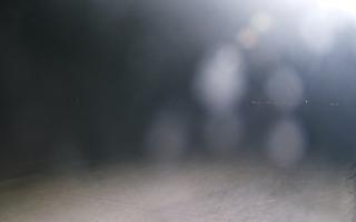 Grzybowo wschód - 01-11-2025 19:28