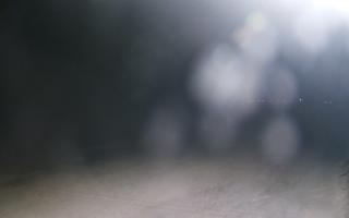 Grzybowo wschód - 01-11-2025 19:35