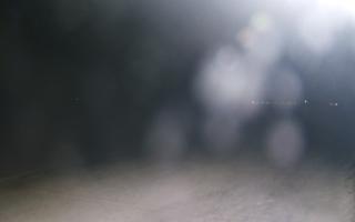 Grzybowo wschód - 01-11-2025 19:43