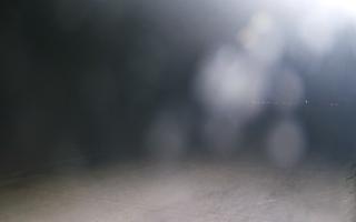 Grzybowo wschód - 01-11-2025 19:51