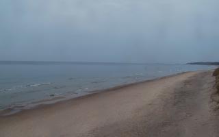 Grzybowo wschód - 02-11-2025 14:47