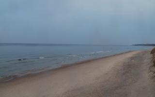 Grzybowo wschód - 02-11-2025 14:55