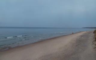 Grzybowo wschód - 02-11-2025 15:02