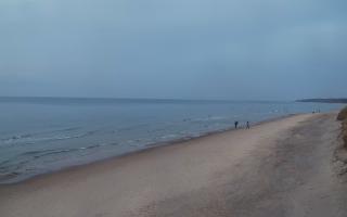 Grzybowo wschód - 02-11-2025 15:10