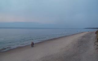 Grzybowo wschód - 02-11-2025 15:17