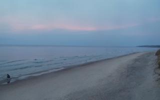 Grzybowo wschód - 02-11-2025 15:25