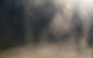 Grzybowo wschód - 02-11-2025 16:26