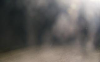 Grzybowo wschód - 02-11-2025 16:33