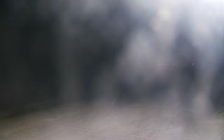 Grzybowo wschód - 02-11-2025 17:11