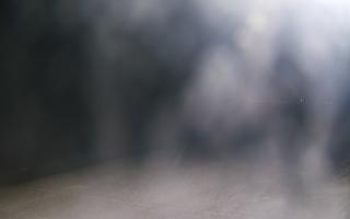 Grzybowo wschód - 02-11-2025 17:26