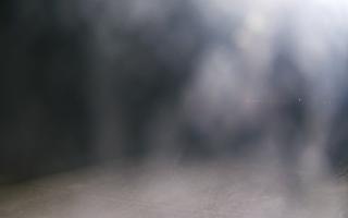 Grzybowo wschód - 02-11-2025 17:34