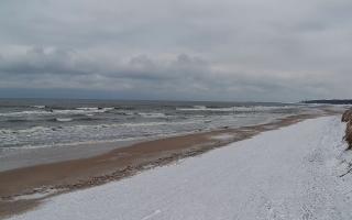 Grzybowo wschód - 29-01-2026 13:20