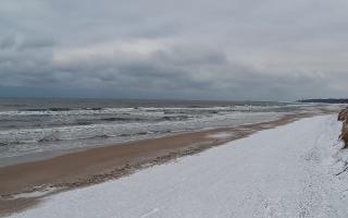 Grzybowo wschód - 29-01-2026 13:27