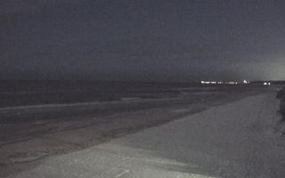 Grzybowo wschód - 31-01-2026 02:20