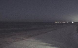 Grzybowo wschód - 31-01-2026 04:21