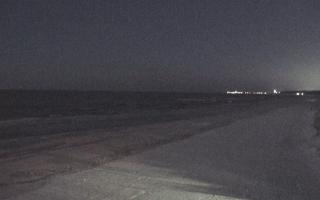 Grzybowo wschód - 31-01-2026 04:29