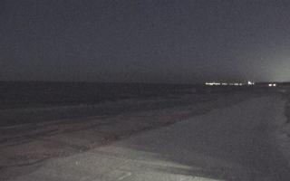 Grzybowo wschód - 31-01-2026 04:51