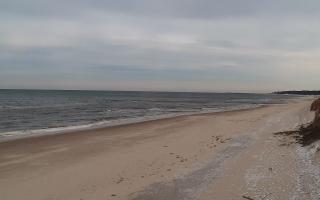 Grzybowo wschód - 16-02-2026 13:29