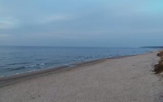 Grzybowo wschód - 15-03-2026 16:33