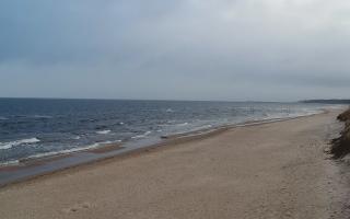 Grzybowo wschód - 17-03-2026 07:40