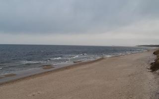 Grzybowo wschód - 17-03-2026 07:48