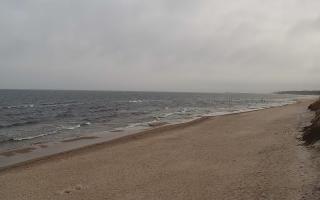 Grzybowo wschód - 17-03-2026 07:56