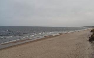 Grzybowo wschód - 17-03-2026 08:18