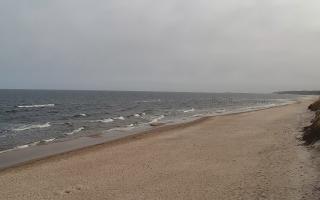 Grzybowo wschód - 17-03-2026 08:26