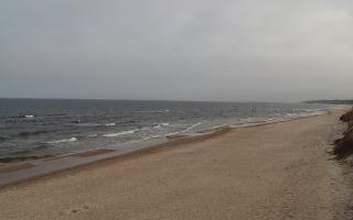 Grzybowo wschód - 17-03-2026 08:33