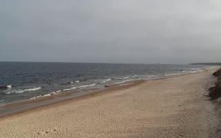 Grzybowo wschód - 17-03-2026 08:41