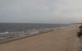 Grzybowo wschód - 17-03-2026 08:49